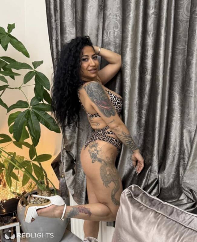 Rosa (Foto)