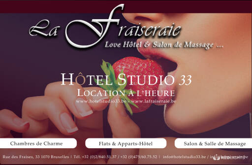 La Fraiseraie - Hôtel Studio33 (Foto)