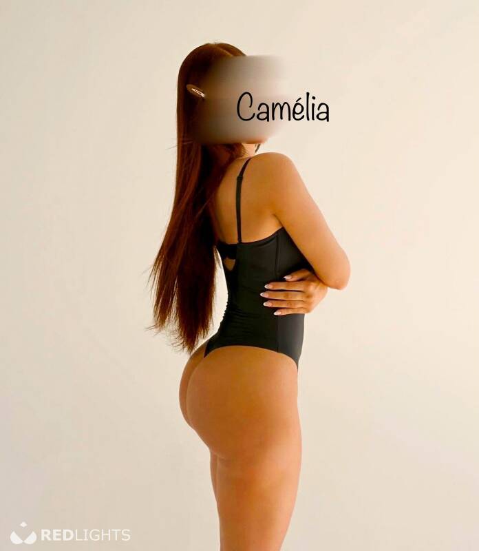 Camélia (Foto)
