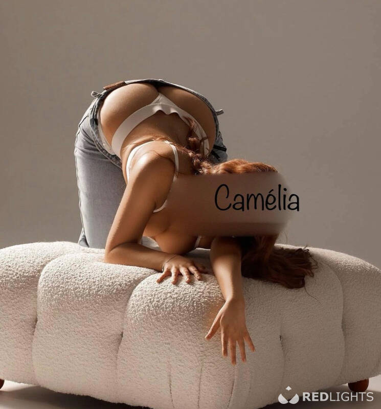 Camélia (Foto)