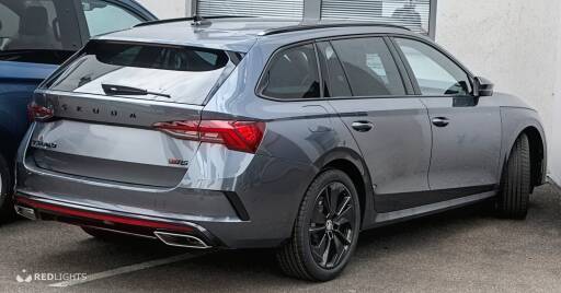 Benelux prive taxi chauffeur/airport & escort (Foto)