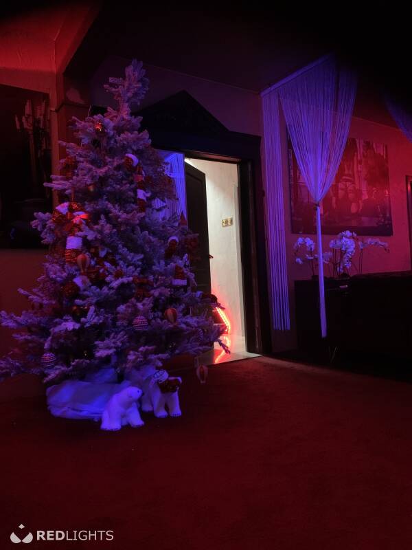 Rooms for rent (Foto)