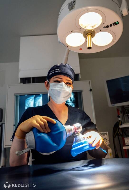 Meesteres Katharina (Foto)