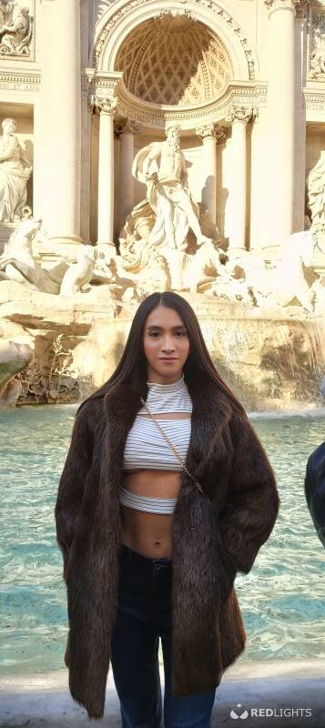 Arianna latina (Foto)