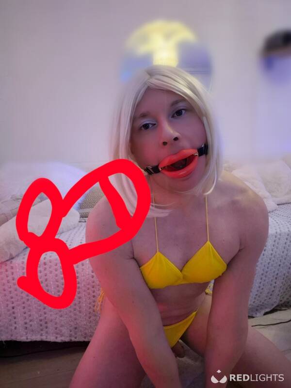 Travestiet Cindy (Foto)