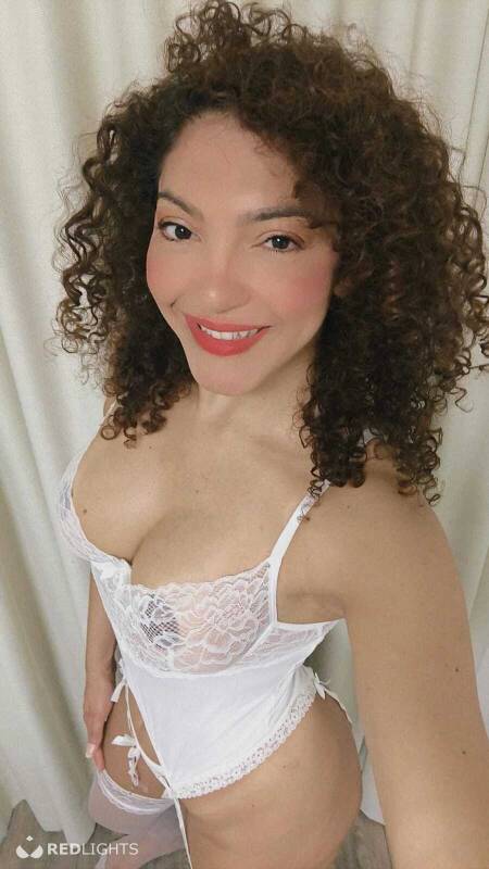 Lara latina (Foto)