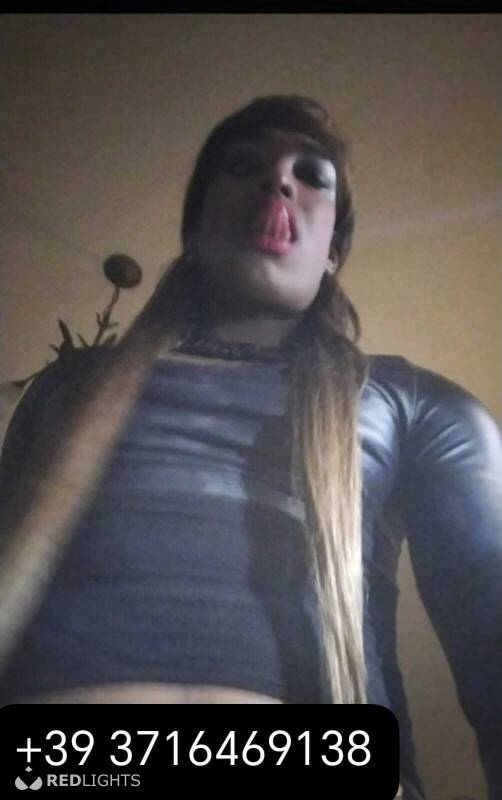 TAMARA THE STALLIONS (Foto)