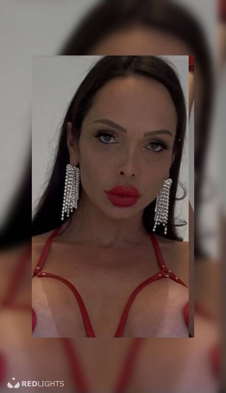 Nubia Trans (Foto)
