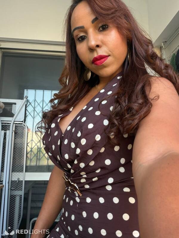 Bruna latina (Foto)