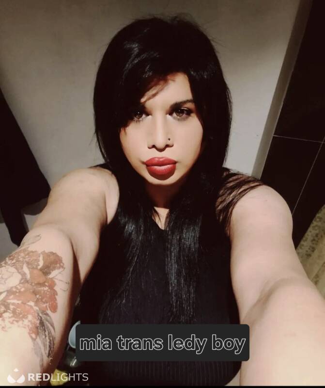 Trans mia (Foto)