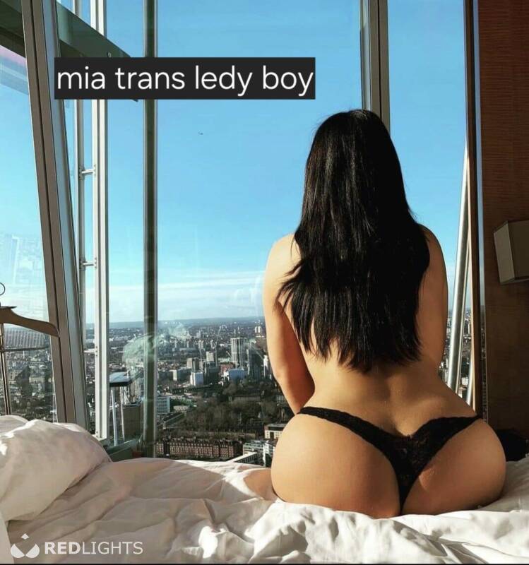 Trans mia (Foto)