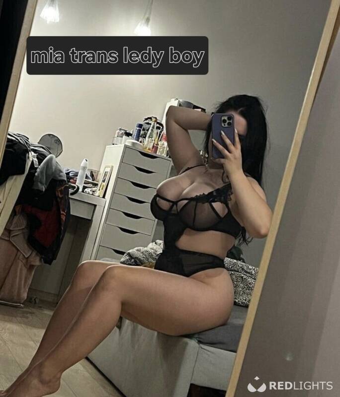 Trans mia (Foto)