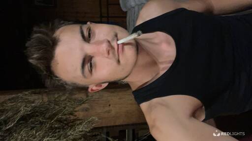 David (Foto)