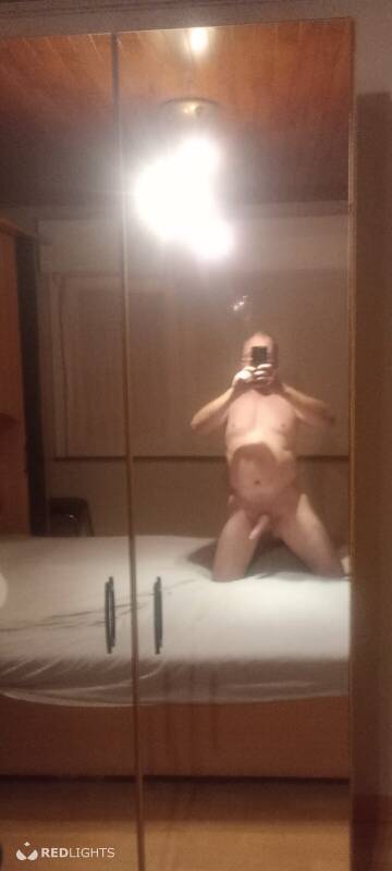 Stallion (Foto)