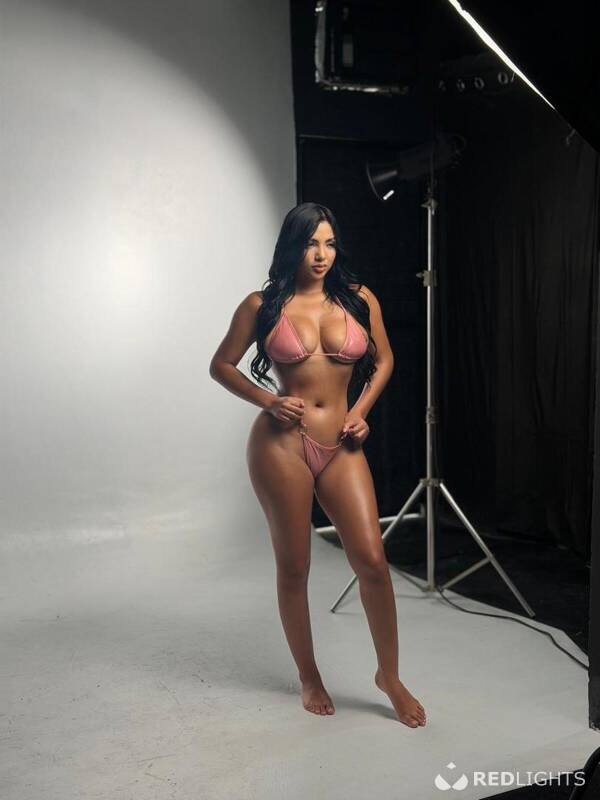 Sofia latina (Foto)