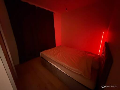 Night girls (Foto)
