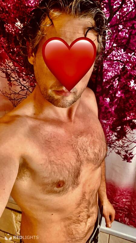David (Foto)