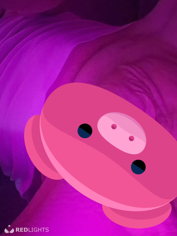 Steven (Foto)