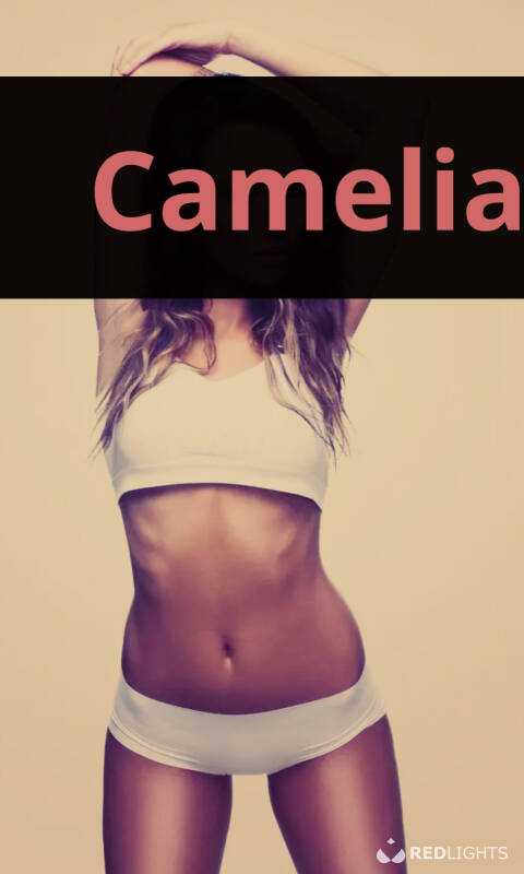 Camélia (Foto)