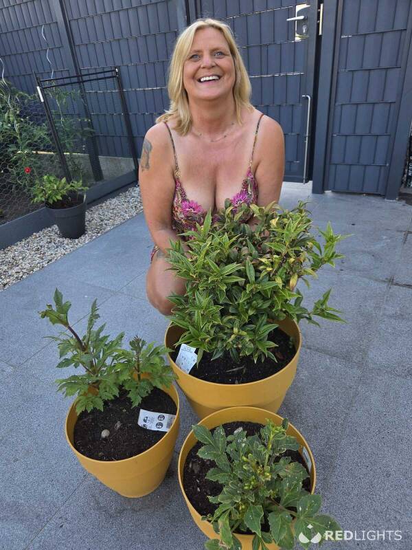 Angelique (Foto)