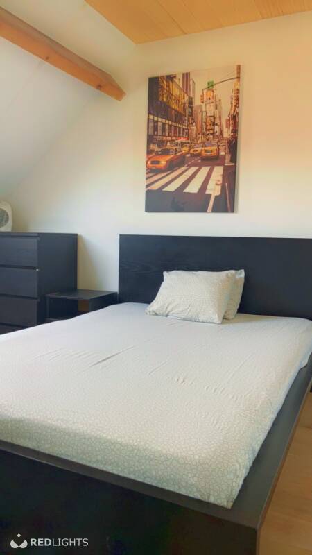 Kamer verhuur - room for rent - chambre à louer Regio Leuven | Redlights @ redlights.be