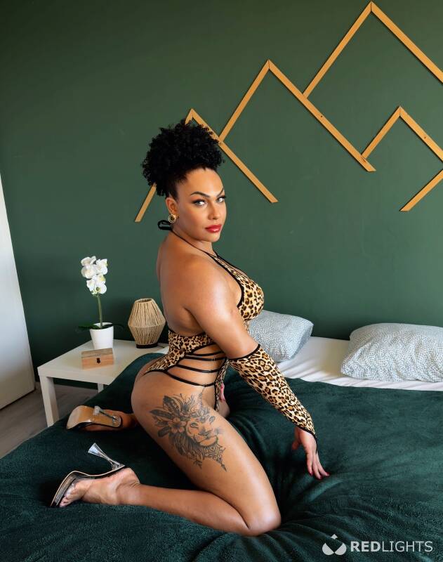 JUJU DOLL LAST DAYS (Foto)