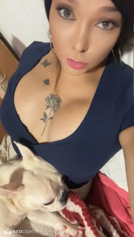Exotic body (Foto)