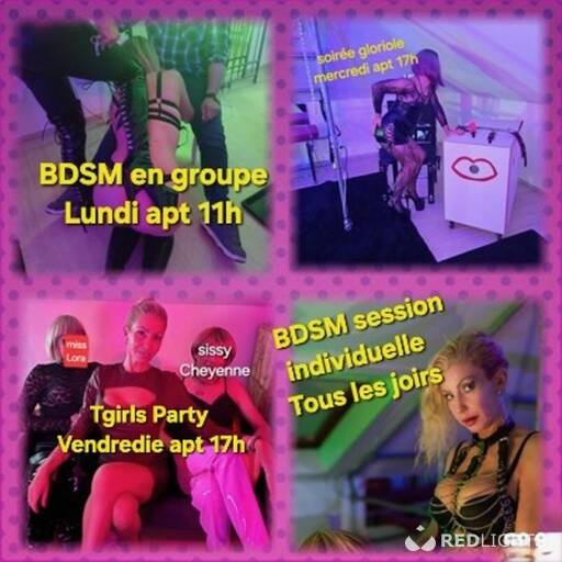 Bar donjon BDSM (Foto)