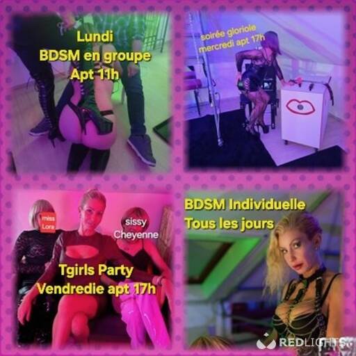 Bar donjon BDSM (Foto)