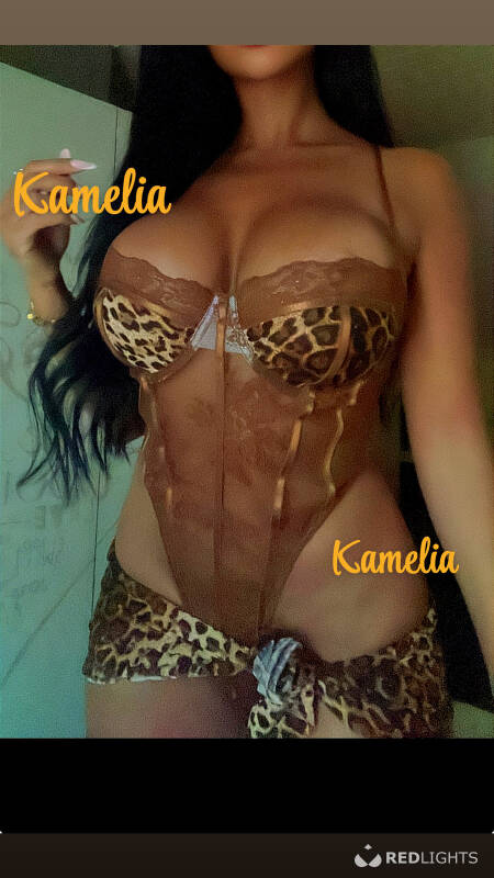 Kamelia Marokkaans (Foto)