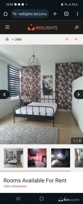 KAMERS TE HUUR (Foto)