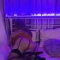 Juliah Milf (Foto #16)