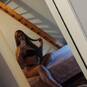 Bia Coquine (Foto #4)