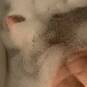 Dylan (Foto #4)