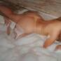 Tammy (Foto #2)