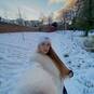 Alice (Foto #33)
