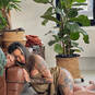 Aa.domme (Foto #45)