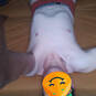 Rannysd (Foto #12)