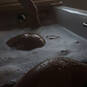 Hade (Foto #2)