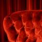 Scarlet (Foto #39)