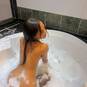 ESTHER (Foto #13)