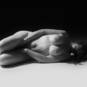 Iris (Foto #7)
