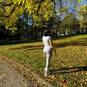 Mavie (Foto #10)
