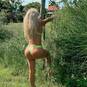 Sindy (Foto #12)