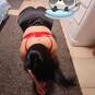 Lola (Foto #15)