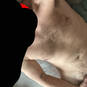 Lennart (Foto #4)
