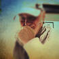 Peter (Foto #3)