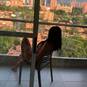 Rebeca (Foto #19)