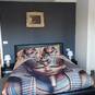 Kamer verhuur - room for rent - Regio Waregem (Foto #9)