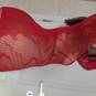 Luna Red (Foto #75)